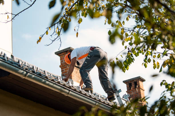Best Roof Waterproofing Services  in Ixonia, WI